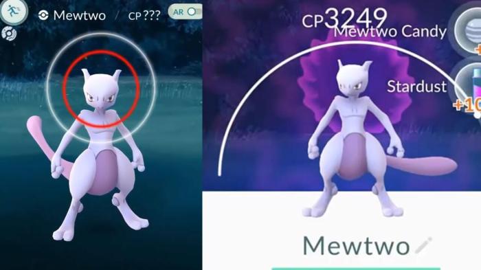 Mewtwo pokemon go caught