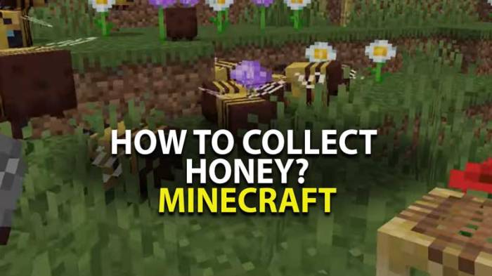 How to collect honey