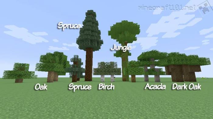 All trees in minecraft
