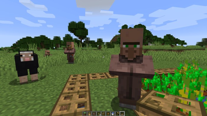 Villager life project minecraft 24th jan published pm