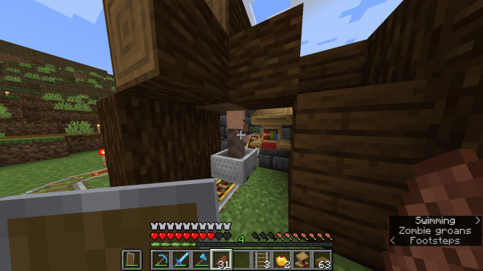 Villager won't take job