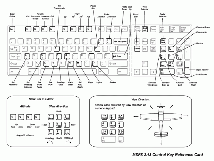 Flight sim x controls