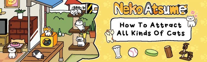 Cats neko atsume imore pusheen