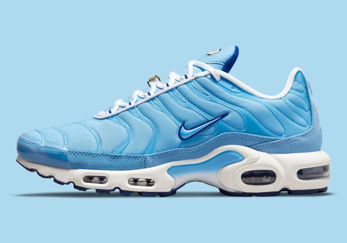 Air max plus stage use