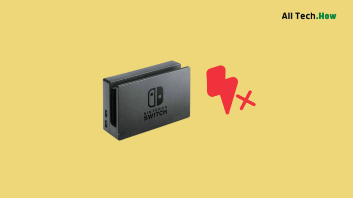 Switch dock not charging