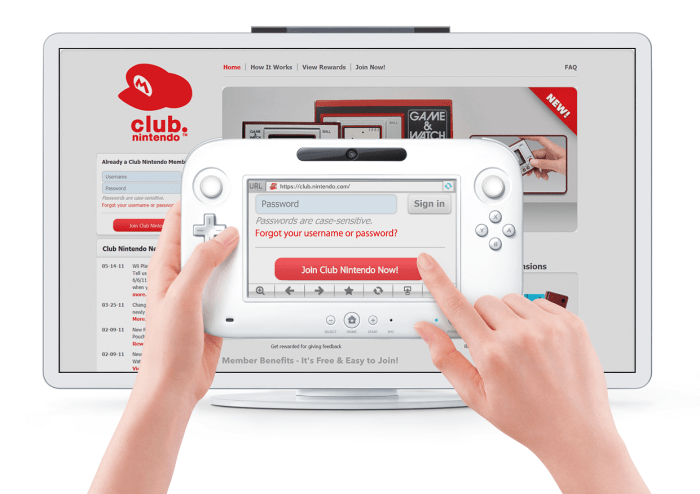 Wii u internet browser