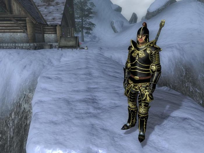 Best armour in oblivion