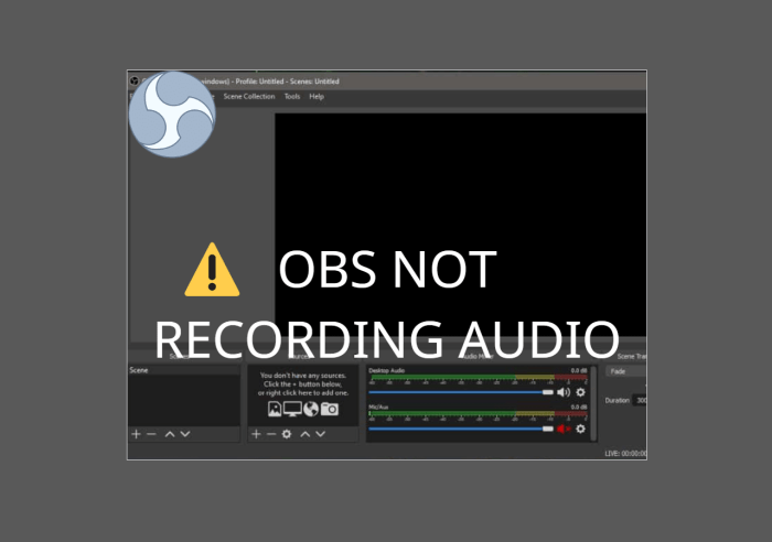 Audio not working obs
