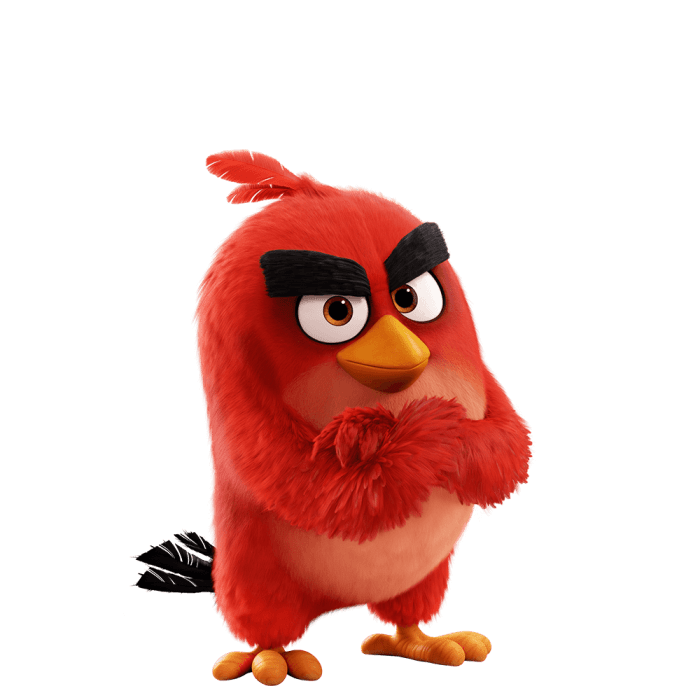 Red bird angry bird