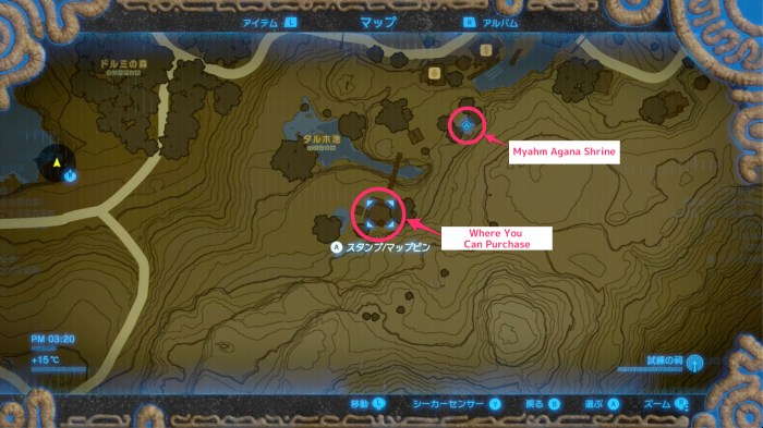 Where to buy house botw