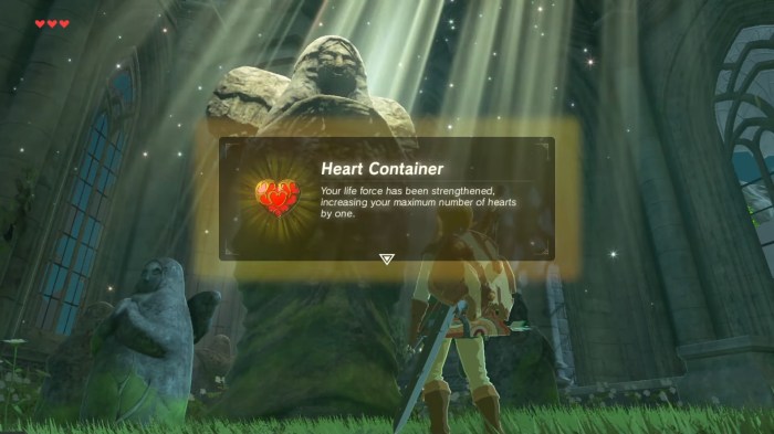 Stamina hearts spirit orb wheels breath wild shrines left over comments inventory