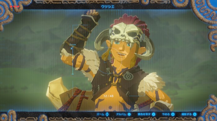How to use camera botw