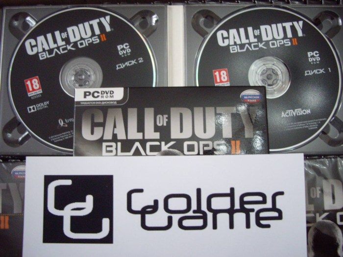 Cod black ops 2 cd key