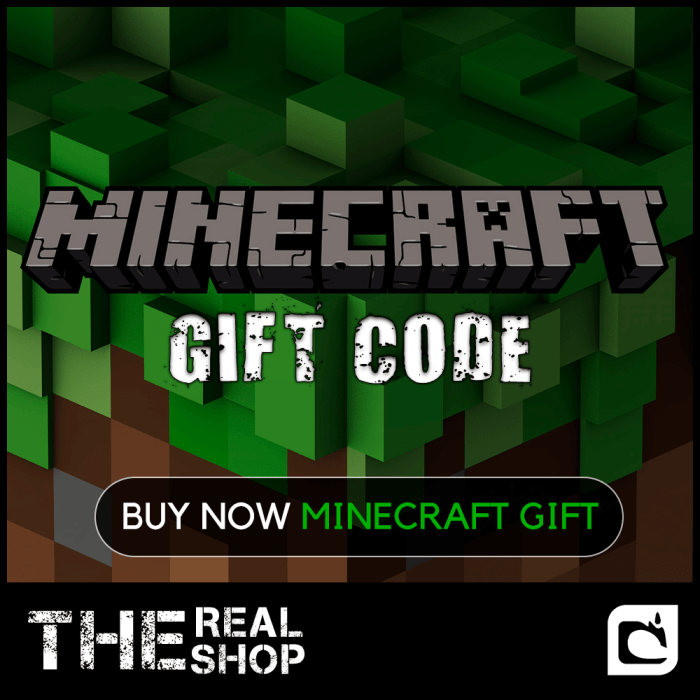 Minecraft as a gift
