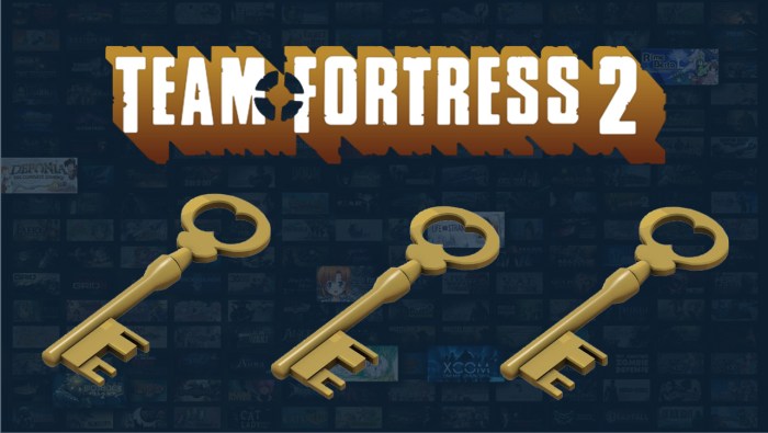 Fortress team game play tf2