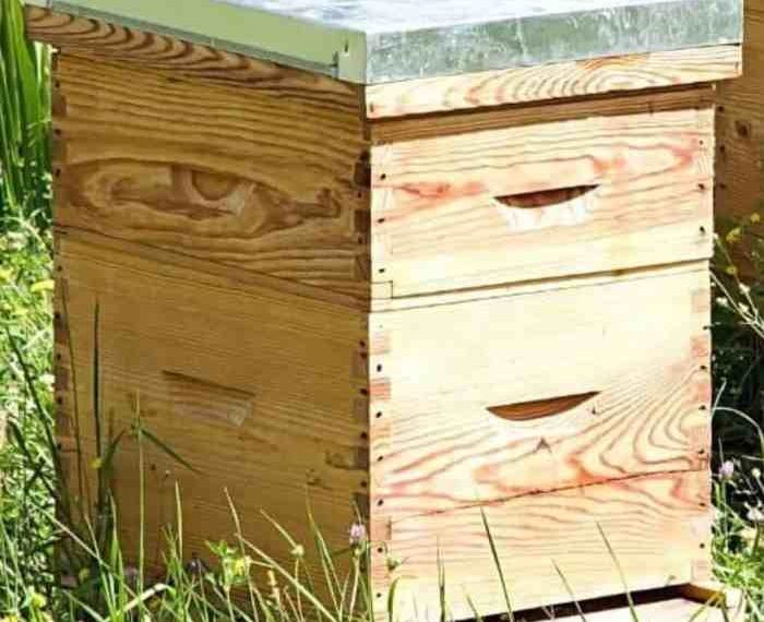 How to move a bee hive