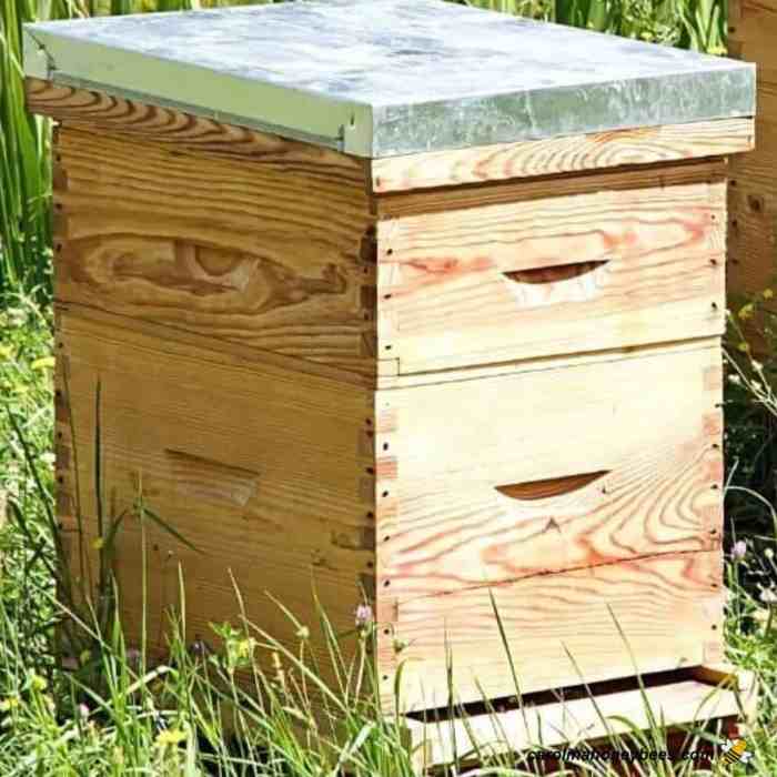 How to move a bee hive
