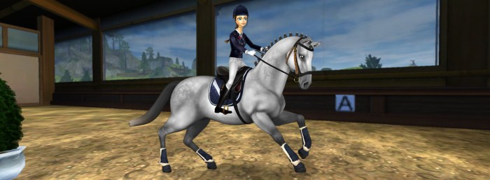 Star rider star stable