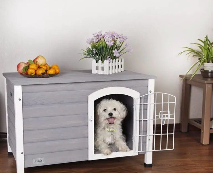 Dog house inside house