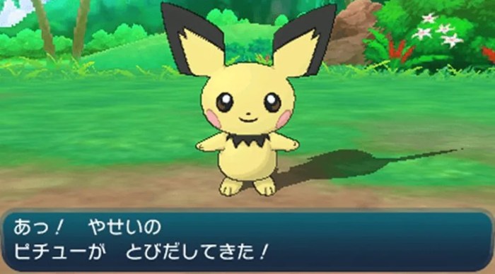 Pichu in pokemon sun