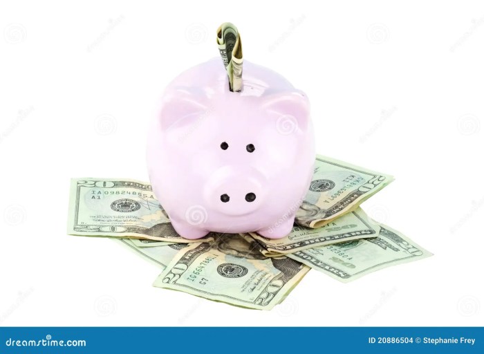 Piggy bank with cash