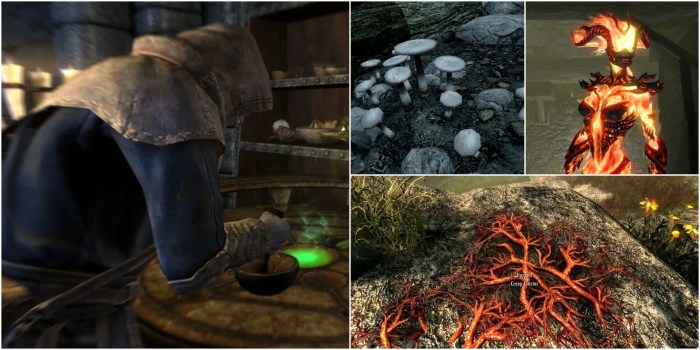 Potion of magicka skyrim