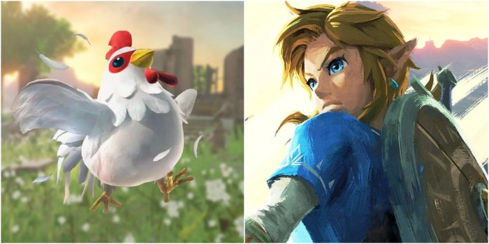 Cucco legend of zelda