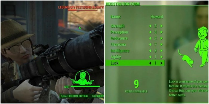 Luck build fallout 4