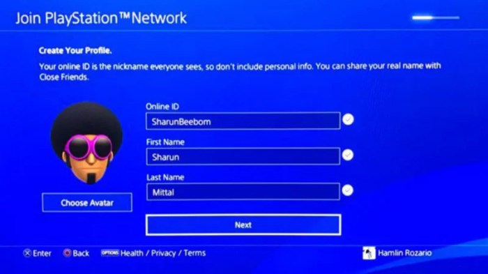 Online id names for ps5