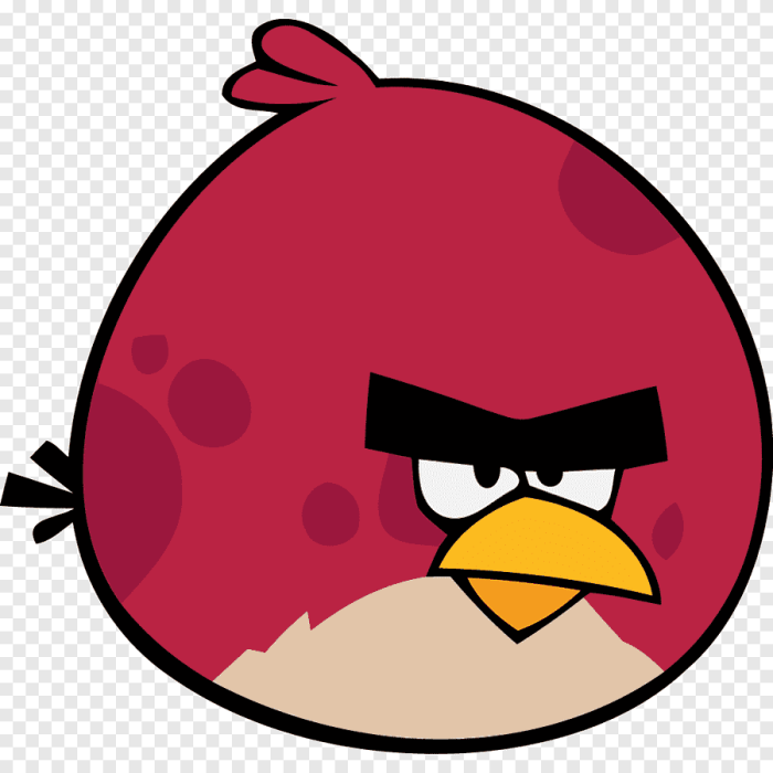 Angry bird red bird