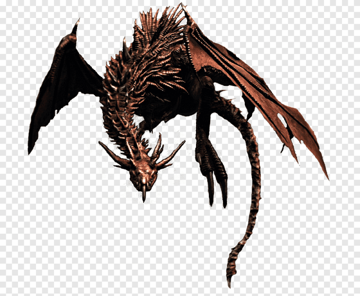 Drake dragon dark souls