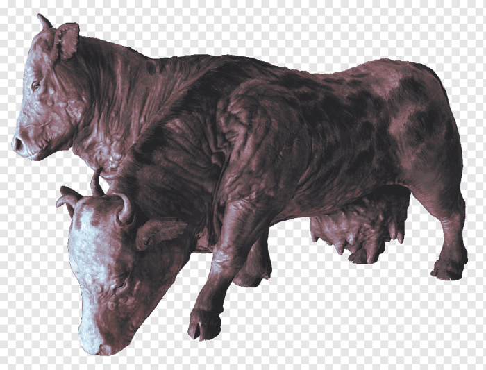 Fallout 4 brahmin meat