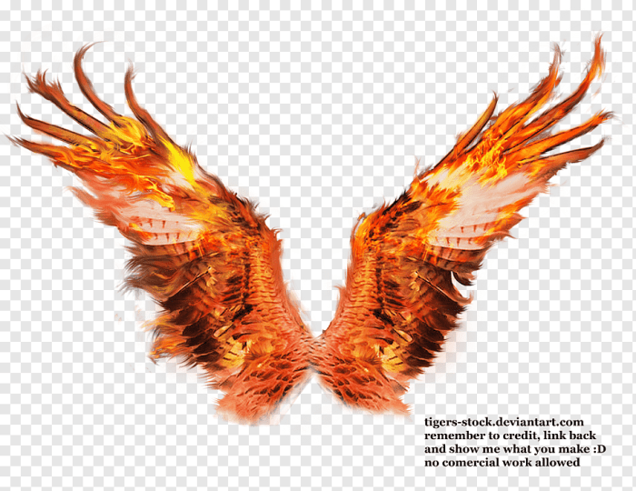 Wings of fire flame
