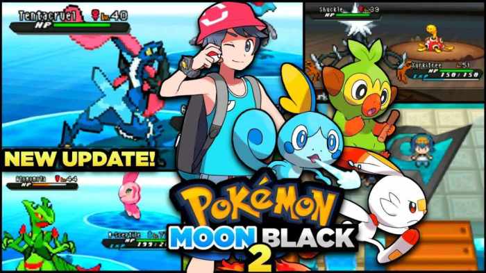 Pokémon black 2 rom