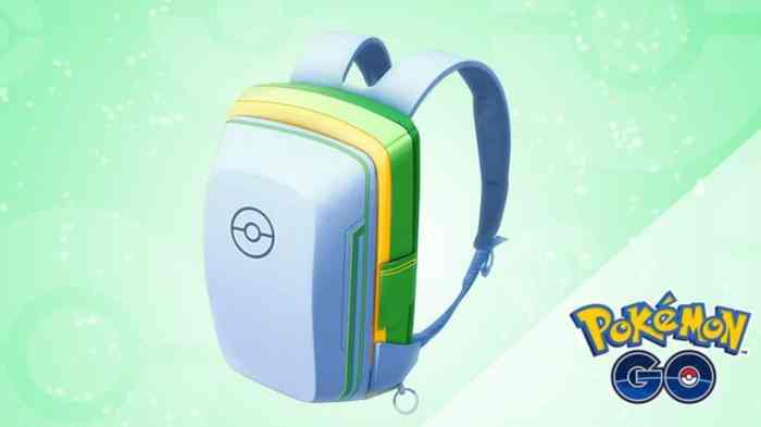 Pokemon bag