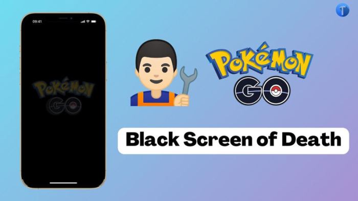 Black screen pokemon go