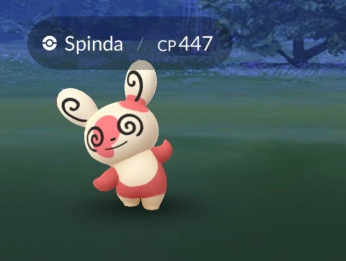 Spinda