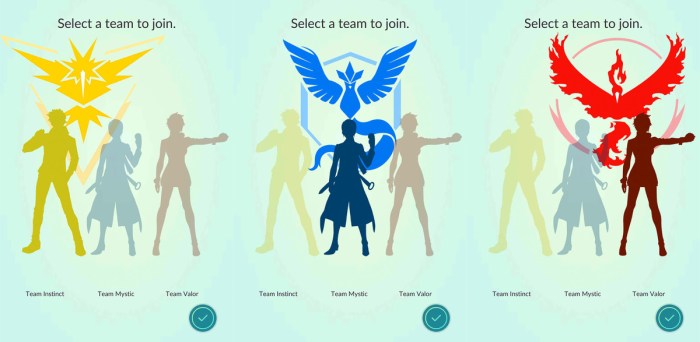 Choose a team pokemon go