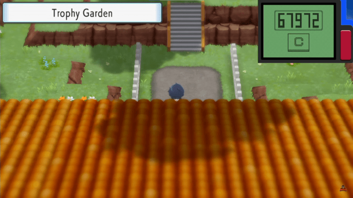 Pokemon in trophy garden