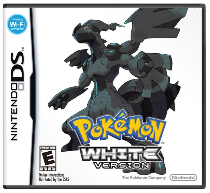 Pokemon black ds rom