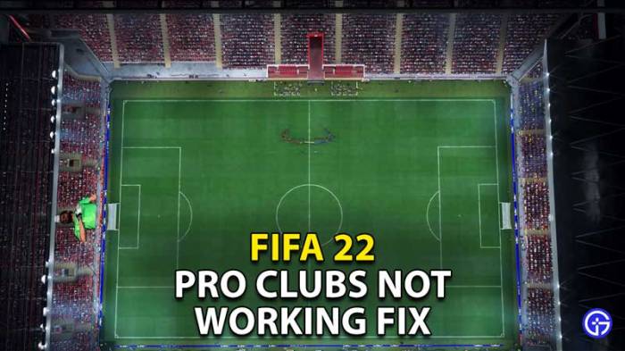 Pro clubs not working