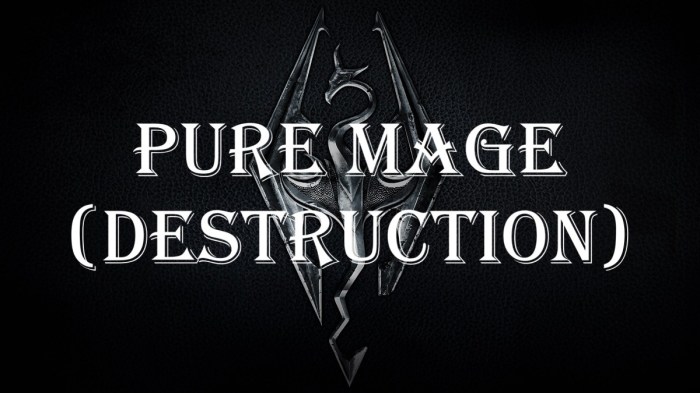 Skyrim mage pure become