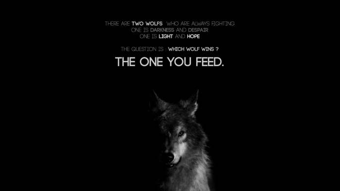 Which one you feed wolf