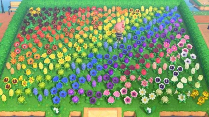 Acnh flower guide breeding crossing placement animal