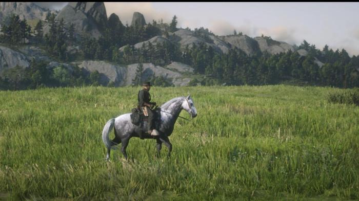 Rdr1 hungarian half bred