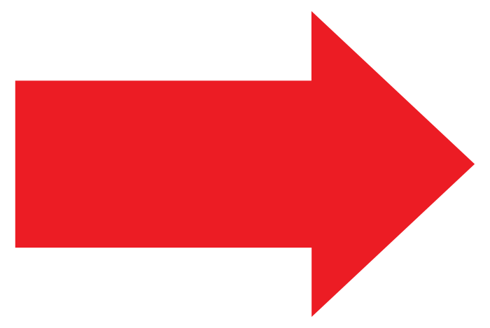 Red arrow signs totk