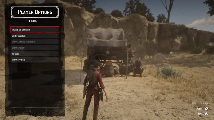 Rdr2 invite only session