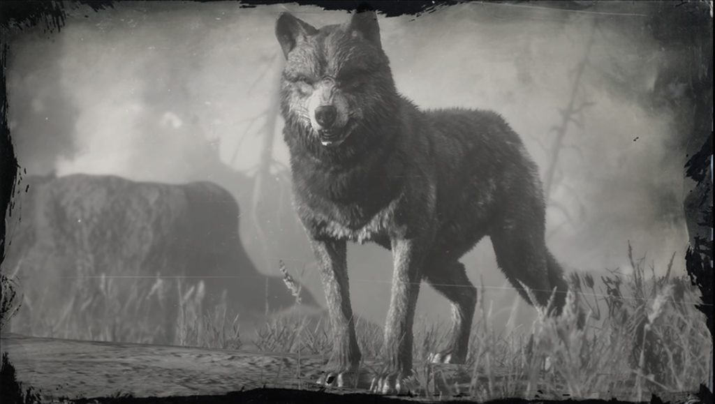 Rdr2 legendary wolf pelt