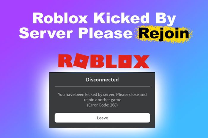 Roblox kicked me out