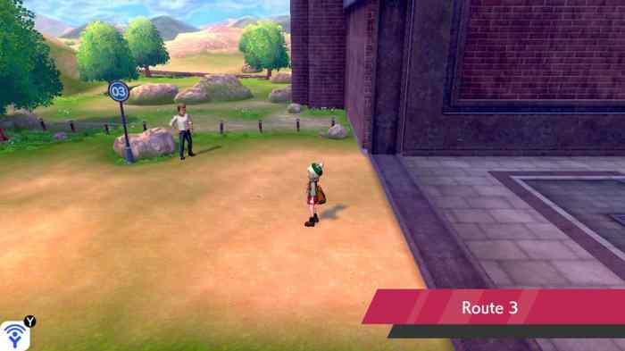 Pokemon sword route 2